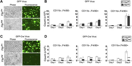 Figure 7. Deletion of Flip suppresses macrophage differentiation. cKit+ hematopoietic stem cells from Flipf/+ and Flipf/d were isolated from bone marrow and seeded at 2.5 × 105 cells/well followed by infection of retroviral vectors expressing GFP alone (A-B) or GFP and Cre (C-D). After the infection, the cells were differentiated in vitro to macrophages in 20% L929 medium. The total number of GFP+ cells (A,C) and the GFP+, CD11b−, F4/80−, the GFP+, CD11b+, F4/80−, and the GFP+, CD11b+, F4/80+ cells (B,D) were determined after 1, 2, and 5 days of differentiation. Data in panels B,D represents the mean ± SEM of 4 independent experiments.