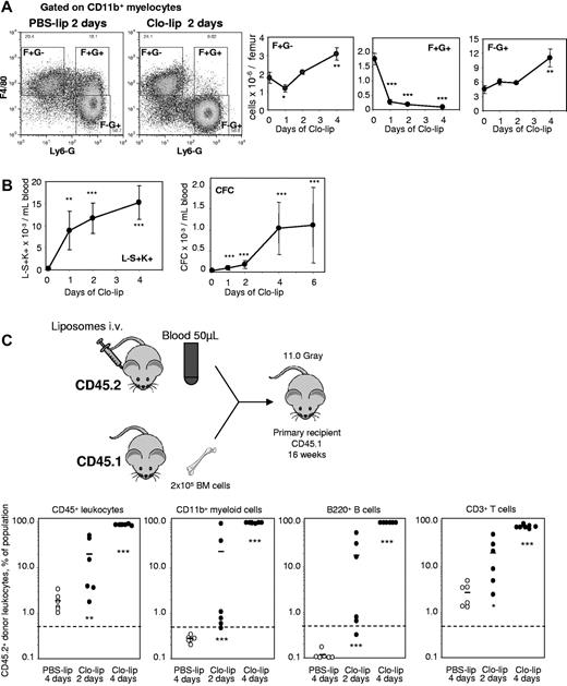 Figure 5. In vivo depletion of macrophages with clodronate-loaded liposomes mobilizes HSCs. (A) Effect of a 2-day treatment with clo-lip and PBS-lip on the number of BM F4/80+Ly-6G−CD11b+ (F+G−), F4/80+Ly-6G+CD11b+ (F+G+) macrophages and F4/80−Ly-6G+CD11b+ (F−G+) granulocytes measured by flow cytometry. The 2 dot-plots illustrate the loss of F+G+. Data are mean ± SD of 4 mice per group. (B) Effect of liposomes on the number of circulating Lin−Sca1+KIT+ HSPCs and CFCs. Data are mean ± SD of 4 mice per group. (C) Mobilization of long-term reconstituting HSCs in competitive repopulation assay. Test donor CD45.2+ mice were injected with clo-lip for 2 or 4 days, or PBS-lip for 4 days. Next, 50 μL blood was transplanted in competition with 200 000 competing CD45.1+ BM cells into lethally irradiated CD45.1+ recipients. Donor CD45.2+ contribution was measured in CD45+ leukocytes, myeloid, B, and T cells 16 weeks after transplantation. Contribution was estimated to be positive when the proportion of CD45.2+ donor cells was above 0.5% in each lineage. ***P < .001, **P < .01, and *P < .05 between PSB-lip– and clo-lip–treated mice.