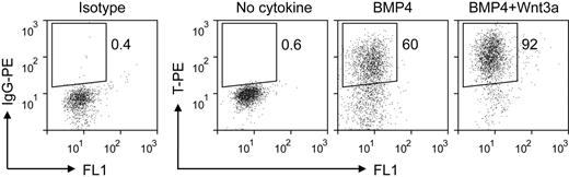 Figure 2. Intracellular flow cytometric analysis for T expression in EB cells treated with different cytokines for the first 1.5 days. IgG-PE indicates immunoglobulin G phycoerythrin.