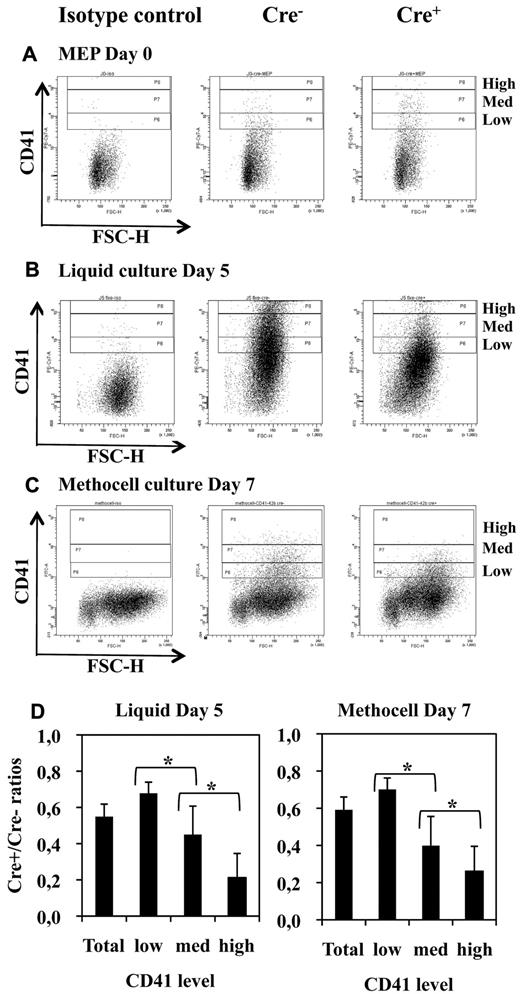 Figure 7. Fli-1 gene deletion does not completely suppress the production of CD41-positive cells but decreases their maturation. (A-C) FACS diagrams showing CD41 expression in freshly purified Cre− and Cre+ MEPs (A) and in their cell progenies taken after 5 days of culture in serum-free liquid medium (B) or after 7 days of culture in semisolid methocell medium (C) both supplemented with a complete cocktail of myeloid cytokines. (D) Histograms showing the progressive decrease in Cre+/Cre− ratios of positive cells numbers according to increasing levels of CD41. Statistically significant differences between Cre+/Cre− ratios are indicated by asterisks. All Cre+/Cre− ratios were significantly different from 1 (n = 5 and n = 4 for liquid and methocell cultures, respectively).