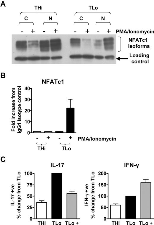 Figure 7. NFATc1 binds to the IL-17 promoter in TLo, but not THi, cells. Human CD4+ T cells were cultured under THi or TLo conditions for 6 days. Day 6 cells were either restimulated for 2 hours with PMA/ionomycin (+) or left untreated (-). (A) Cytoplasmic and nuclear lysates were prepared, and expression of NFATc1 was determined by Western blotting. Blots are representative of 3 independent experiments. (B) NFATc1 binding to the proximal IL-17 promoter was assessed by ChIP (n = 2). Error bars respresent SEM. (C) CD4+ T cells were cultured for 6 days under either THi or TLo conditions or TLo conditions +500nM ionomycin (TLo +) added daily for the first 4 days of culture. Expression of IL-17 was determined by intracellular flow cytometry (n = 3). Error bars represent SEM.