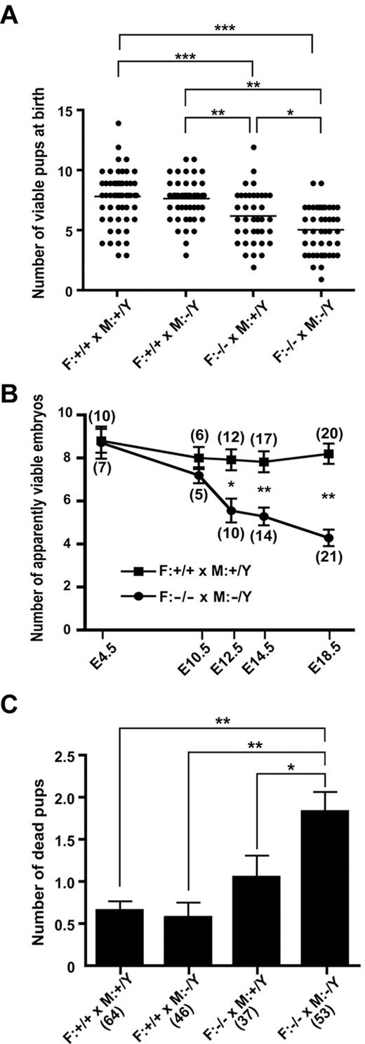 Figure 2. Partial lethality of LPA4-deficient embryos and pups. (A) Litter sizes of various crosses. Each dot represents 1 litter. *P < .05, **P < .01, and ***P < .001, using 1-way analysis of variance (ANOVA) followed by Tukey post-hoc test. (B) Change in the number of apparently viable embryos from E4.5 to E18.5. Data represent the mean ± SEM. Numbers in parentheses represent the pregnant female studied. *P < .05 and **P < .001, using 2-way ANOVA followed by Bonferroni post-hoc test. (C) Number of dead pups by weaning at P21. Data represent the mean ± SEM. Numbers in parentheses represent the litter studied. *P < .05 and **P < .001, using ANOVA followed by Tukey post-hoc test. F, female; M, male.