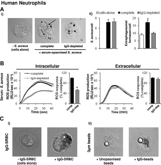 Figure 7. IgG dependency of extra-phagosomal superoxide production in human neutrophils. (A) Primed human peripheral blood neutrophils were preincubated with NBT and left untreated (cells alone) or incubated with S aureus opsonized with either 10% normal serum (complete) or serum depleted of IgG (IgG-depleted) before opsonization, as described in the supplemental Methods. Nonphagocytosed S aureus were lysed by lysostaphin, and samples cytospun onto glass coverslips. Samples were prepared and visualized as described in Figure 1. Shown are representative images. Arrows mark extra-phagosomal formazan deposition in response to phagocytosis of S aureus opsonized with complete serum. (Aii) Number of S aureus phagocytosed under each condition (S aureus/cell), and extra-phagosomal formazan deposits (extra-phagosomal formazan/cell) in at least 40 cells from each condition were counted and expressed as mean ± SEM, P < .0001. (B) Human neutrophils were preincubated with luminol/SOD (intracellular) or isoluminol/HRP (extracellular) as described in “Measurement of ROS production,” before addition to S aureus opsonized with either 10% normal serum (complete, comp) or serum depleted of IgG (IgG-depleted, IgG-dep) before opsonization. ROS responses were measured and data are presented as described in Figure 6A. *P ≤ .0001, paired Student t test compared with complete serum-opsonized S aureus–induced responses. (C) Neutrophils were incubated with NBT, left untreated (cells alone) or incubated with IgG-SRBCs, or IgG-opsonized or unopsonized 3-μm beads, as described in the supplemental Methods. Cells were allowed to adhere to coverslips for 3 minutes at 37°C, and samples were prepared and visualized as described in Figure 1. Shown are representative images. Position of the IgG-SRBC phagosome is indicated by a star.
