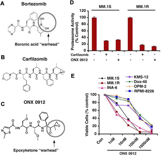 Figure 1. Proteasome inhibitor ONX 0912 is structurally distinct from bortezomib and carfilzomib, inhibits proteasome activity in vitro, and triggers MM cell death. (A-C) Chemical structures of proteasome inhibitors bortezomib, carfilzomib, and ONX 0912. (D) ONX 0912 and carfilzomib inhibit CT-L proteasome activities in human MM cell lines. MM.1S and MM.1R cells were treated with carfilzomib (5nM) and ONX 0912 (3nM) for 48 hours and harvested; cytosolic extracts were then analyzed for CT-L proteasome activities. Results are represented as percent inhibition in proteasome activities in drug-treated versus vehicle control. (E) MM cell lines were treated with or without ONX 0912 at the indicated doses for 48 hours, followed by assessment for cell viability using MTT assays. Data presented are means ± SD (n = 3; P < .05 for all cell lines).