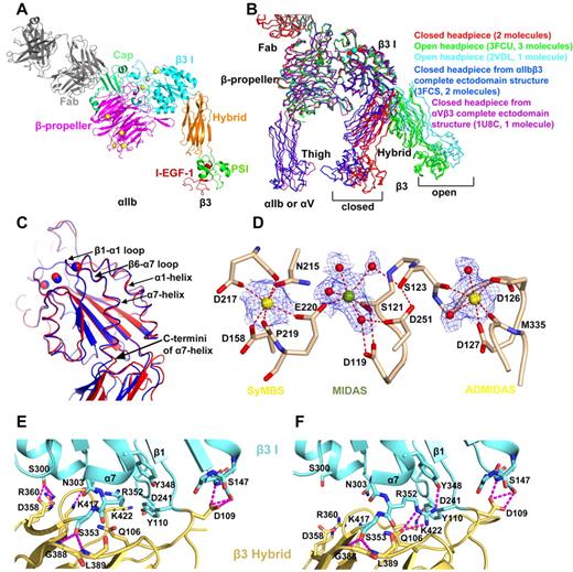Figure 2. The crystal structure of αIIbβ3 headpiece in closed conformation. (A) Cartoon diagram of the αIIbβ3 headpiece complex with 10E5 Fab. Ca2+ and Mg2+ ions are yellow and silver spheres, respectively. (B) Superposition of the closed headpiece structure found in this study (2 molecules in one asymmetric unit, red) with the indicated previously reported structures (number of molecules per asymmetric unit). The structures were aligned on the αIIbβ-propeller and the β3 βI domains by the super command of Pymol. (C) Superposition of β3 βI domains of the closed αIIbβ3 headpiece structure in this study (red) and the closed headpiece structure of αIIbβ3 entire ectodomain (blue). Metal ions are shown as spheres. (D) 2Fo-Fc maps of metals and coordinating waters in β3 βI domain in the presence of 5mM Mg2+ and 1mM Ca2+. The maps are contoured at 1.5 σ. Ca2+ (gold) and Mg2+ (green) ions are large spheres. Waters (red) are small spheres. Nitrogen atoms are blue and oxygen atoms are red. Metal coordination and hydrogen bonds are dashed. (E) The β3 βI/Hybrid interface in the complete αIIbβ3 ectodomain structure. (F) The β3 βI/Hybrid interface in the closed headpiece structure. The 2 structures were aligned on the β3 βI domain.