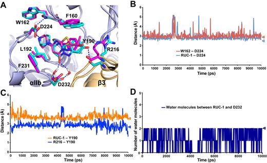 Figure 4. The binding pocket of RUC-1 studied by molecular dynamics (MD) simulations. (A) Comparison of the binding site of RUC-1 in crystal structure (magenta) and in a representative conformation (at 8 nanoseconds) of the last 5 nanoseconds of a 10-nanosecond MD simulation (cyan). The structures were aligned on the αIIb β-propeller domain by Pymol. αIIb and β3 subunits are shown in light blue and wheat, respectively. (B-D) Specific distance changes during 10-nanosecond MD simulations. Values for crystal structure are indicated by triangles. (B) Minimum distance between the basic nitrogen of RUC-1 and either of the 2 oxygens of the Asp-224 side chain (blue line). Minimum distance between either of the 2 oxygens of the Asp-224 side chain and the backbone nitrogen of Trp-162 (red line). (C) Distance between the oxygen of the Tyr-190 side chain and the backbone carbonyl oxygen of β3 Arg-216 (blue line). Distance between the centroid of the aromatic ring of Tyr-190 side chain and the centroid of the RUC-1 fused ring (orange line). (D) Number of water molecules either forming direct interactions with the RUC-1 carbonyl oxygen or interacting with the carboxyl oxygens of the Asp-232 side chain.