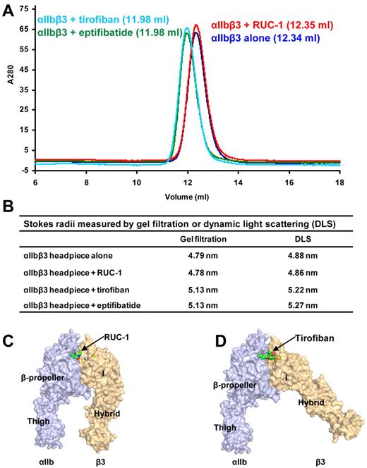 Figure 6. Conformational change of integrin αIIbβ3 headpiece studied by gel filtration and dynamic light scattering. (A) Gel filtration profile of αIIbβ3 headpiece alone or bound with antagonists. The untagged αIIbβ3 headpiece was mixed with saturating amounts of RUC-1, tirofiban, or eptifibatide and incubated at room temperature for 1 hour before Superdex 200 chromatography in Tris-buffered saline with 1mM Ca2+/Mg2+. The elution volumes are shown in parentheses. (B) Stokes radius measured by gel filtration or dynamic light scattering. (C-D) The structures with surface representation indicate the putative conformational rearrangement after drug binding. The structures were generated by adding the αIIb thigh domain from the complete ectodomain structure to the headpiece crystal structures. The Ca2+ and Mg2+ ions are shown as yellow and silver spheres, respectively. RUC-1 (C) and tirofiban (D) are shown as spheres.