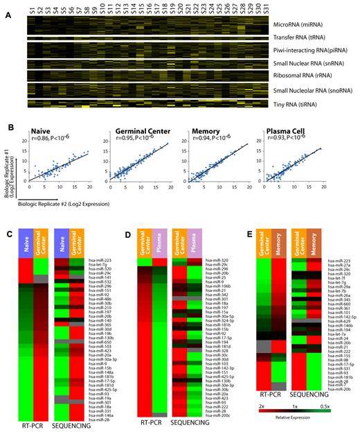 Figure 2. Distribution of small RNAs in normal and malignant B cells. (A) Expression of small RNAs, including miRNAs, tRNA, piRNA, snRNA, rRNA, snoRNA, and tiRNA in each sample are shown more than a 2-fold range. Samples are listed in the same order as in Table 1. (B) Expression of miRNAs measured by sequencing across 2 biologic replicates for naive, germinal center, memory, and plasma B cells. The P values were computed using a correlation test against the null hypothesis that the data were not correlated; P < 10−6 in all 4 cases. (C) Relative expression of miRNAs differentially expressed in the naive to germinal center B-cell transition as measured by real-time PCR and sequencing. (D) Relative expression of miRNAs differentially expressed in the germinal center B-cell to plasma transition as measured by real-time PCR and sequencing. (E) Relative expression of miRNAs differentially expressed in the germinal center B to memory B-cell transition as measured by real-time PCR and sequencing.