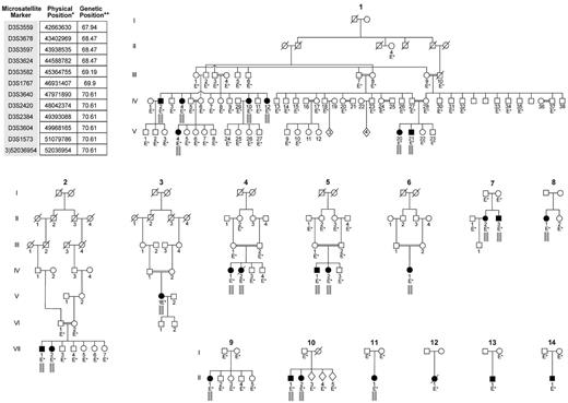 Figure 1. Pedigrees of 14 GPS families included in the study and the microsatellite markers used to establish linkage. The microsatellite markers listed in the top left corner of the figure are the set of markers located within the homozygosity region that is indicated by the small gray bars placed under affected individuals in the pedigrees. These gray bars indicate that, for this segment of chromosome 3, these patients inherited the same set of microsatellite genotypes from their mother and father; hence they are homozygous by descent. *Physical map positions are based on UCSC genome browser version hg18. **Genetic map positions in centiMorgans are based on Marshfield map. Patients in families 12, 13, and 14 did not display a homozygous haplotype in the linked region.