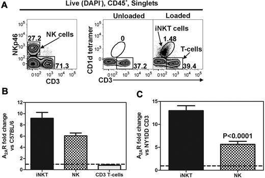 Figure 1. Lung lymphocytes from NY1DD mice have higher A2AR mRNA than congenic C57BL/6 controls. Live (DAPI−) CD45+ pulmonary cells were sorted based on surface antigen staining. (A) iNKT (CD1d-tetramer+, CD3+), NK (NKp46+, CD3−), and CD3+ T cells (CD1d-tetramer−, CD3+). Quantitative RT-PCR was used to measure A2AR transcript levels in sorted populations of pulmonary lymphocytes compared with a housekeeper transcript (cyclophilin). (B) NY1DD mice have increased levels of A2AR transcripts in iNKT cells and NK cells, but not in CD3+ tetramer− T cells compared with C57BL/6 mice. (C) NY1DD iNKT and NK cells have increased A2AR/cyclophilin mRNA ratios compared with NY1DD CD3+ tetramer− T cells.