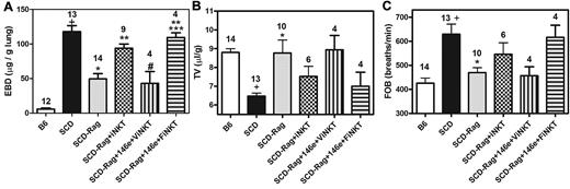 Figure 8. ATL146e targets A2ARs on iNKT cells to decrease pulmonary inflammation. NY1DD x Rag1−/− mice were pretreated with ATL146e (10 ng/kg/minute, 3 days). Two days later, 106 NKT cells pretreated in vitro with vehicle or 200nM concentrations of the A2AR alkylating agent, FSPTP, were adoptively transferred. Pulmonary parameters were analyzed on day 3 by 1-way ANOVA with Neuman-Keuls posttesting. P < .05: + vs B6; * vs SCD; ** vs SCD - Rag1; # vs SCD-Rag1 + NKT cells; *** vs ATL146e pretreated SCD x Rag1 + NKT cells. B6 = C57BL6; SCD = NY1DD; ViNKT = vehicle-treated iNKT cells; FiNKT = FSPTP-treated iNKT cells.