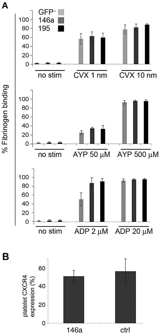 Figure 6. Overexpressed miR-146a does not alter platelet activation. (A) Platelet-rich plasma was prepared from miR-146a–overexpressing and control mice. Binding of GFP+ and GFP– platelets to Alexa 647-fibrinogen was measured by flow cytometry before and after stimulation with low and high doses of agonists ADP, convulxin (CVX), and PAR4 agonist peptide (AYP). No stim indicates unstimulated platelets. (B) Expression of chemokine receptor CXCR4 on control and miR-146a–overexpressing platelets, as measured by flow cytometry.