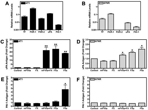 Figure 1. Coagulation proteases increase uPA and PAI-1 expression in the culture supernatant of 4T1 and 67NR breast cancer cell lines. (A-B) Real-time PCR analysis of TF, PAR-1, PAR-2, uPA, and PAI-1 mRNA expression in 4T1 cells (A) and 67NR cells (B). Cells were grown to confluence and starved overnight. Results are shown as mean ± SEM of at least 3 independent experiments. (C-E) Serum starved confluent cell monolayers were incubated for 24 hours with the following coagulation factors: mFVIIa (10nM), FX (130nM), mFVIIa (10nM) and FX (130nM), FXa (125nM), or thrombin (FIIa; 20nM). Levels of uPA in treated 4T1 cells (C) and 67NR cells (D) were determined by ELISA. The amount of PAI-1 released from the treated 4T1 (E) and 67NR (F) cell lines was measured by a PAI-1 ELISA. Results are shown as mean ± SEM of at least 5 independent experiments. *P ≤ .05 and **P ≤ .001 (control versus protease treated).