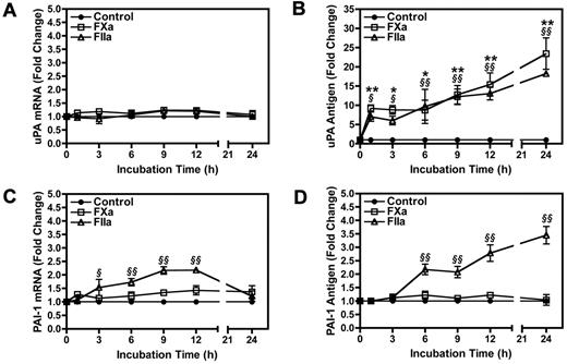 Figure 3. Timecourse of uPA and PAI-1 mRNA and protein expression in 4T1 cells stimulated with FXa or thrombin. Levels of uPA mRNA (A) and protein (B) were determined by real-time PCR and ELISA, respectively. PAI-1 mRNA (C) and protein (D) induction were also measured using real-time PCR and ELISA. uPA and PAI-1 mRNA levels were normalized to HPRT mRNA. Results are shown as mean ± SEM of at least 3 independent experiments. *P ≤ .05 and **P ≤ .001 (control versus FXa treated). §P ≤ .05 and §§P ≤ .001 (control versus thrombin treated).