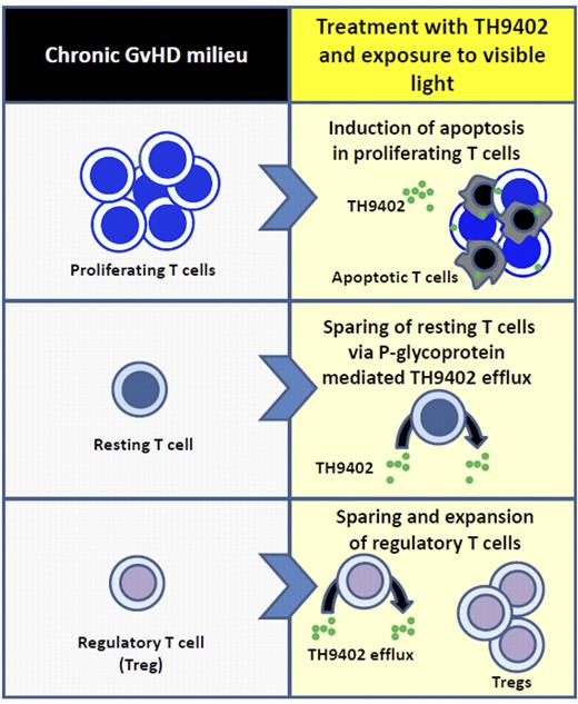 Immunomodulatory effects of TH9402-based ECP in chronic GVHD.