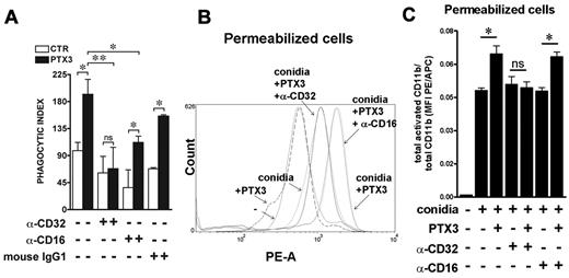 Figure 4. PTX3-mediated increase of A fumigatus conidia phagocytosis depends on CD32, which regulates CD11b activation. (A) The phagocytosis assay was performed in the presence of 10% NHS and anti-CD16 (LNK16) or anti-CD32 (AT10 or IV.3) blocking antibodies or control IgGs. Results are mean ± SEM of 3-5 pooled experiments. *P ≤ .05; Student paired t test. (B) FACS analysis of membrane and intracellular activated CD11b in permeabilized neutrophils defined as FSC-Ahigh/SSC-Ahigh, after incubation of whole blood with PTX3-opsonized conidia for 15 minutes, in the presence of F(ab′)2 blocking anti–human CD16 (3G8) and CD32 (7.3). The histogram shows 1 of 7 donors analyzed with similar results. (C) Ratio of activated and total CD11b MFI PE/APC in permeabilized cells after incubation for 15 minutes with conidia or PTX3-opsonized conidia in the presence of anti-CD16 (3G8) or anti-CD32 (IV.3) blocking antibodies.