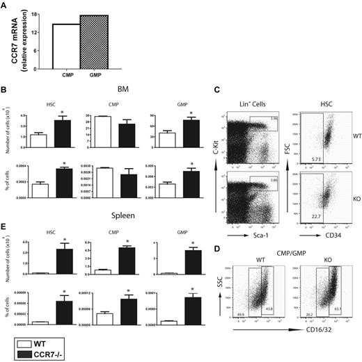 Figure 1. CCR7−/− mice have increased numbers of HSCs and GMPs compared with WT controls. (A) CCR7 gene expression from FACS-sorted WT CMPs and GMPs were analyzed by real-time PCR (values represent CCR7 amplification cycle, compared with GAPDH). (B-E) Markers for HSCs were lineage−, c-Kit+, Sca-1+, and CD34−. CMPs were lineage−, c-Kit+, Sca-1−, CD34+, and CD16/32 low. GMPs were identical to CMPs, but were CD16/32 high. (B) HSC, CMP, and GMP numbers and percentages from BM of naïve WT and CCR7−/− mice. (C) Flow cytometric plots of lineage− BM from naïve WT and CCR7−/− mice. C-Kit+, Sca-1+, and lineage− cells (left graphs) were analyzed for the expression of CD34 (right graphs). (D) Flow cytometric plots of total MPCs show similar percentages between WT and CCR7−/− mice, but differences in the percentages of CMPs and GMPs. (E) HSC, CMP, and GMP numbers and percentages from the spleens of naïve WT and CCR7−/− mice (n = 3-5 mice per group, representative of more than 5 experiments). *P < .05, when comparing WT and CCR7−/− HSCs and MCPs.