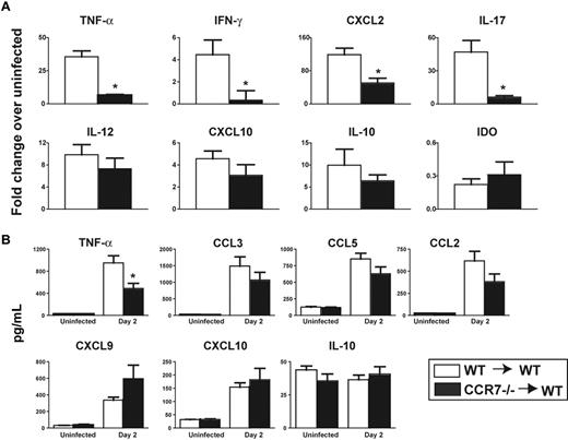 Figure 5. CCR7−/−→WT chimeras have decreased proinflammatory cytokine levels 48 hours after conidial challenge compared with WT→WT chimeras. Lethally irradiated WT mice reconstituted with WT or CCR7−/− HSCs and MPCs were infected with 2.0 × 106 conidia 14 days after HSCT and analyzed 48 hours later. (A) RNA levels were determined by real-time PCR. Values represent the fold change of infected mice, compared with uninfected mice 16 days after HSCT. (B) Cytokine and chemokine levels were determined using a Bioplex multiplex assay; all values are represented as picograms per milliliter (n = 4 mice per uninfected group; 8 mice per conidia-challenged group). *P < .05, when comparing WT and CCR7−/−→WT chimeras after conidia challenge.