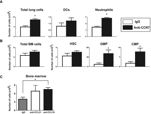 Figure 7. Anti-CCR7 and -CCL19 monoclonal antibodies enhance HSC and MPC proliferation after HSCT and Aspergillus challenge. Lethally irradiated WT mice reconstituted with 6.0 × 102 HSCs, 1.0 × 104 CMPs, and 1.0 × 104 GMPs from WT mice were given an intraperitoneal injection of 25 μg of anti-CCR7 (A-B), anti-CCL19 (C), or IgG (A-C) every other day for 14 days after HSCT. (A-B) Fourteen days after HSCT and anti-CCR7 treatment, mice were challenged with 2.0 × 106 conidia. Lungs (A) and BM (B) were analyzed 48 hours after infection. (C) The number of cells present in the BM of uninfected HSCT mice treated with anti-CCL19 or -CCL21 (n = 4-5 mice per group, representative of 2 experiments). *P < .05, when comparing anti-CCR7 or -CCL19 and IgG-treated chimeras.