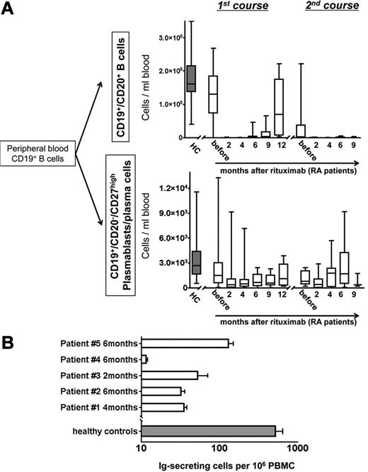 Figure 1. Continuous detection of circulating antibody-secreting cells during B-cell depletion with RTX. (A) Peripheral blood CD19+/CD20+ naïve and memory B-cell counts and CD19+/CD20−/CD27high plasmablast and plasma cell counts in RTX-treated patients with rheumatoid arthritis (RA; open boxes). Healthy, untreated controls (HC; n = 41; gray boxes) are shown for comparison. (B) Detection of functional immunoglobulin (Ig)–secreting cells from peripheral blood of patients with RA during B-cell depletion after RTX treatment with the use of an EliSpot assay (5 samples from 4 independent experiments; open boxes; error bars indicate SD of duplicates). The gray bar depicts corresponding values obtained from 10 healthy persons (error bars indicate SD of 10 samples tested).