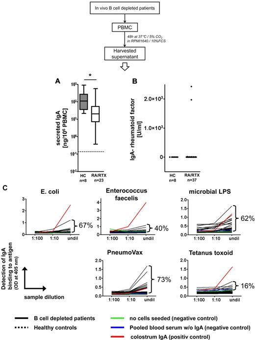 Figure 7. Plasmablasts generated during B-cell depletion secrete antimicrobial IgA. (A) Spontaneous in vitro production of IgA from PBMCs of RTX-treated patients with RA (RA/RTX; open box) and healthy controls (HCs; gray box). Dotted line indicates the detection limit. Box plots depict minimum, maximum, and median values and upper and lower quartiles. IgA produced patient samples (B) analyzed (5%), whereas all samples bound to ≥ 1 of the 4 microbes and microbial antigens tested (C). PBMC supernatants were subjected to enzyme-linked immunosorbent assay at different dilutions with the indicated antigens for coating and IgA-specific detection. Frequencies of samples from RTX-treated patients (n = 37; black lines) yielding optical densities exceeding negative control samples at the highest concentration (undil) are indicated and reflect proportions of samples that showed binding to a particular antigen. Almost all samples tested showed concentration-dependent binding. Binding to irrelevant protein antigen (tetanus toxoid) was used as a control assay on the same samples, yielding infrequent binding of the secreted IgA compared with microbial antigens. Colostrum IgA isolated from breast milk was used as an internal positive control, pooled blood sera depleted of IgA, and medium cultured without PBMCs as internal negative controls. All PBMC supernatants from B-cell depleted and control donors bound to ≥ 1 of the bacteria or microbial antigens. Dotted black lines indicate pooled data from 8 healthy controls.