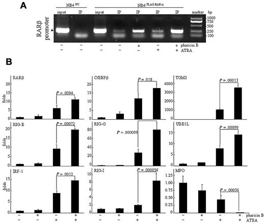 Figure 3. Pharicin B enhances ATRA-regulated gene expression in NB4 cells. (A) NB4FLAG-RARα cells were treated as indicated, and ChIP experiment was performed as described in the Methods. NB4NC cells were used as the negative control. (B) NB4 cells were treated by 2μM pharicin B and/or 10−8M ATRA for 48 hours, and the expression of genes, as indicated, were detected by real-time PCR with specific primers. P values between pharicin B plus ATRA and ATRA are shown. Each experiment was repeated 3 times.