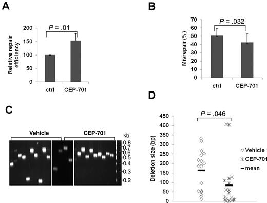 Figure 5. Treatment of WT/ITD mice with the FLT3 inhibitor CEP-701 showed an increase in efficiency and a decrease in misrepair frequency and deletion size during NHEJ. Relative repair efficiency (A) and misrepair frequency (B). (C) An agarose gel image of colony PCR products using as templates randomly selected misrepaired products from NHEJ assays. The size of a PCR product from a correctly repaired DSB is 628 bp. PCR products of a smaller molecular weight indicate that deletions have occurred during repair. Molecular size markers are indicated on the right. Vertical lines have been inserted to indicate repositioned gel lanes. (D) Scatter plot showing the distribution of DNA deletion size in randomly selected misrepaired products. P values are shown for all graphs. Vertical lines represent SD. The mean is indicated as a solid horizontal line in scatter plot.