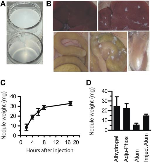 Figure 1. Aluminum adjuvants rapidly form into nodules in vivo. (A) A suspension of Alhydrogel in PBS. (B) Top left, a normal mouse liver; top right, liver of a mouse injected with Alhydrogel; bottom left, intestines of an uninjected mouse; bottom middle, intestines of a mouse injected with Alhydrogel; bottom right, leg muscle of a mouse injected with Alhydrogel. Photos taken 4 hours after injection. (C) At various times after intraperitoneal injection of 4 mg of Alhydrogel, nodules were collected and weighed. (D) At 4 hours after injection of 4 mg of Alhydrogel, Adju-Phos, aluminum potassium sulfate (Alum), or Imject Alum, nodules all form nodules within 4 hours in vivo. All experiments included at least 3 mice per group. Panel B was repeated more than 5 times. Panels C and D were repeated twice each.
