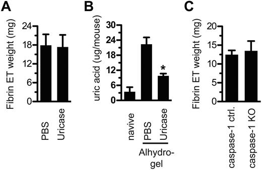 Figure 5. Uric acid and caspase-1 are dispensable for fibrin ET formation. (A) Mice were treated with uricase or PBS on day −1 and also 10 minutes before Alhydrogel injection. After 5 hours, fibrin ETs were weighed. (B) Peritoneal lavage fluid from each mouse in panel A was centrifuged to remove cells, and then the supernatant was tested for uric acid. Naive indicates mice that were never injected with PBS, uricase, or Alhydrogel. *P < .05 compared with PBS alone. (C) At 5 hours after Alhydrogel injection, caspase-1 KO mice and littermate controls were tested for fibrin ET formation. All experiments included at least 3 mice per group and were performed at least 3 times.