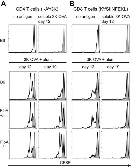 Figure 6. Aluminum adjuvant fibrin ETs are not required to maintain an antigen depot. C57BL/6 mice, and FibA Het (+/−), or FibA KO (−/−) recipient mice were vaccinated with 3K-OVA plus alum. Spleen and lymph node cells from 508 mice and OT-I mice, containing TCR Tg T cells specific for I-Ab-3K, and Kb-SIINFEKL, respectively, were isolated from TCR Tg mice, pooled, labeled with CFSE, and adoptively transferred into recipients. Two days later, mice were killed and splenic TCR Tg T cells were analyzed by fluorescence-activated cell sorting for proliferation of Tg CD4 T cells (A) and Tg CD8 T cells (B). The genotype of the recipient mouse is indicated in each histogram. The gray histogram indicates staining of T cells transferred to control mice that were vaccinated 12 days previously with soluble 3K-OVA. Similar results were obtained from the inguinal lymph node (not shown). There were 3 mice per group and the mouse with median CFSE dilution is shown from each group. Transfers were done on 3 days, 2 of which are shown (day 12 and day 19).