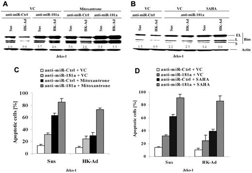 Figure 4. miR-181a is required for cell adhesion–mediated Bim down-regulation and drug resistance, and anti–miR-181a sensitizes lymphoma cells to mitoxantrone or SAHA-mediated apoptosis. (A-D) Jeko-1 cells transfected with anti–miR-181a or anti-miR-control (anti–miR-Ctrl) were treated with vehicle control (VC) or mitoxantrone (0.2μM) or SAHA (0.5μM) for another 24 hours with or without HK cell adhesion. Bim expression levels (A-B) were then analyzed by Western blot, and apoptosis results (C-D) were analyzed by flow cytometry using annexin V. Data are representative of 4 independent experiments with means ± SD. In panels A and B, the relative change in Bim protein was measured by quantitative densotometry and is indicated below each lane.