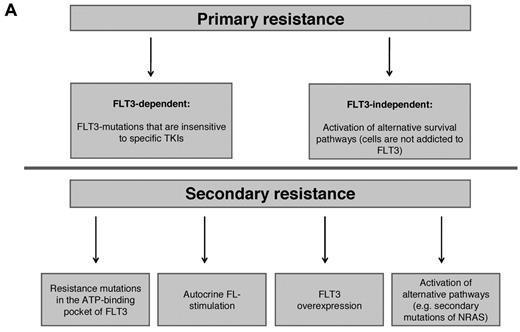 Figure 1. Molecular mechanisms of intrinsic resistance to FLT3-TKI. (A) Overview: FLT3-TKI resistance of FLT3-mutated AML can be classified in primary resistance, which is due to specific biologic characteristics of the disease, and in secondary resistance, which occurs secondarily upon exposure to TKIs. Known mechanisms of resistance to FLT3-TKIs are as follows. (B) In AML blasts expressing a mutated FLT3-receptor, survival and proliferation signals are continuously mediated by the mutant receptor. FLT3-TKIs abrogate constitutive activation of the FLT3-receptor and its downstream signals followed by apoptotic cell death. Alternatively, activation of compensatory survival pathways (eg, activating NRAS mutations) renders leukemic cells independent of FLT3. (C) Mutations in the adenosine triphosphate-binding pocket of the tyrosine-kinase domain impair binding of the TKI to the receptor. (D) Autocrine and/or paracrine FLT3-receptor stimulation via FLT3-Ligand (FL). (E) Over expression of the mutated FLT3-receptor.