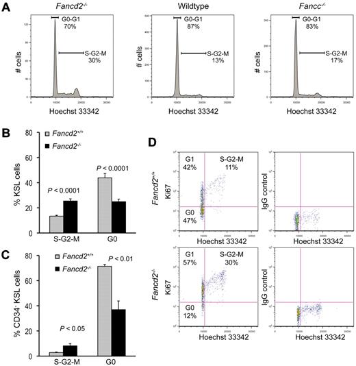Figure 3. Fancd2−/− KSL cells have abnormal cell cycle status. (A) Representative cell-cycle profiles of KSL cells from a Fancd2−/− mouse and its wild-type littermate control. DNA content was measured with Hoechst 33342. Data were analyzed with FlowJo (TreeStar) using the Dean-Jett-Fox model for the quantification of each cell-cycle phase. (B) Pooled results from cell cycle analysis on KSL cells. N = 9 for each group. (C) Quantification of the cell cycle analysis on CD34−KSL cells. N = 3 for each group. (D) Representative picture after costaining for DNA content (Hoechst 33342) and Ki67 expression in KSL cells from a Fancd2−/− mouse and its wild-type littermate control. Percentages for each gate were denoted.