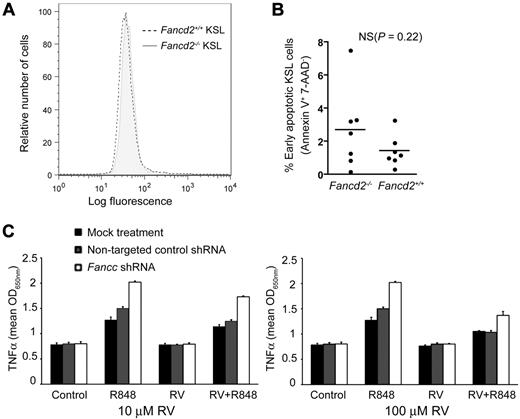 Figure 5. ROS levels, apoptosis, and cytokine response in Fancd2−/− and wild-type bone marrow cells. (A) Fluorescence intensity in KSL subsets of Fancd2−/− and wild-type bone marrow after carboxy-H2DCFDA staining for intracellular ROS. Oxidation of carboxy-H2DCFDA by ROS generated fluorescence detectable by flow cytometry. (B) Quantification of early apoptotic KSL cells after 7-AAD, annexin V, and KSL staining. Data represent 7 mice for each group. NS denotes not significant. (C) Resveratrol suppressed R848-induced TNF-α overproduction in Fancc-shRNA–treated THP1 human leukemia cells. The experiments were done in triplicates on a 96-well plate.