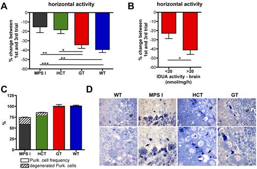 Figure 3. Differential neurologic outcome of gene therapy and HCT. (A) Repeated open-field test was performed on treated and control mice 6 months after the transplantation. Horizontal activity of MPS I (n = 20), HCT (n = 18), GT (n = 17), and WT (n = 14) mice is reported as a percentage (%) of change between the 1st and the 3rd days. (B) GT mice were divided into 2 groups according to the IDUA activity measured on their brain. The percentage change in horizontal activity between the first and third trials is shown for animals having brain IDUA activity lower (<, n = 8) or higher (>, n = 9) than 20 nmol/mg/h (20 nmol/mg/h is the average activity value measured on the brain of the entire population of GT mice). Mean ± SD are shown; *P < .05; **P < .01; ***P < .001 with 1-way ANOVA in panel A and Student t test in panel B. (C) Purkinje cell frequency (expressed as percentage of the cells counted in WT mice; dense area) and percentage of degenerated Purkinje cells among the total cells (scattered area) in cerebellum slices from affected, WT-, HCT-, and GT-treated mice are shown (see “Methods” for details). Mean ± SD values are shown; n ≥ 4 representative mice analyzed per group (≥ 3 representative sections per mouse). (D) Representative semithin section images from the Purkinje cell layer of treated and control mice, as indicated. The pictures show degenerating Purkinje cells, which, besides accumulating GAGs, display shrunken cell bodies and darkly stained nuclei (arrows, “gl” marks granular layer), in mock-transplanted MPS I mice; in HCT mice, residual storage and Purkinje cell degeneration were seen, whereas in the GT-treated mice we observed a complete rescue of the pathologic phenotype. Magnification ×100 in the images from the top row, ×200 in the bottom row.