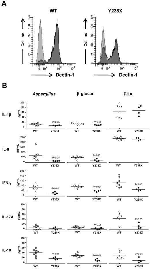 Figure 2. DECTIN1 Y238X polymorphism associates with defective Dectin-1 activity. (A) Surface Dectin-1 expression in unstimulated CD14+ monocytes from WT or heterozygous persons for the DECTIN1 Y238X polymorphism. Dectin-1 expression was assessed in 8 WT and 4 Y238X heterozygous persons. Representative flow cytometry graphs of extracellular Dectin-1 staining (dark gray peak) and isotype control (light gray peak) are shown. (B) Cytokine production by human PBMCs from WT or heterozygous persons for the DECTIN1 Y238X polymorphism. Cytokine production (picograms per milliliter) was quantified by ELISA on culture supernatants of cells stimulated with heat-inactivated A conidia, β-glucan or phytohemagglutinin for 72 hours. Shown are the results of 8 WT and 4 Y238X polymorphic persons, assessed in triplicates. The detection limit of the assays was less than 0.5 pg/mL for each cytokine.