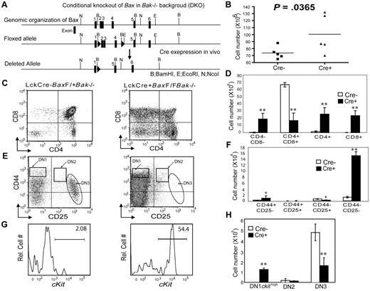 Figure 1. Phenotype of thymocyte development in tissue specific knockout of Bax and Bak using Cre/LoxP system. (A) Schematic representation of genomic organization of conditional knockout of Bax. (B) Number of thymocytes in wild-type and DKO mice (mean and SD; 5 animals per group). (C) FACScan (BD Biosciences) analysis of thymic subsets in both healthy and tumor containing LckCre+BaxBak DKO mice using α-CD4 and α-CD8 antibodies. (D) Absolute number of T-cell populations, DN, DP, and SP CD4+ and CD8+ in control and LckCre+BaxBak DKO mice. *P < .05, and **P < .001 (E) FACScan analysis of double negative populations from Cre− (control) and Cre+ thymocytes are subdivided into DN1,DN2, and DN3 based on CD44 and CD25 staining. (F) The absolute numbers of T-cell populations in panel E. (G) Analysis of CD44+c-kithigh subsets (DN1) populations. (H) Absolute numbers of DN1c-kithigh, DN2, and DN3 populations.