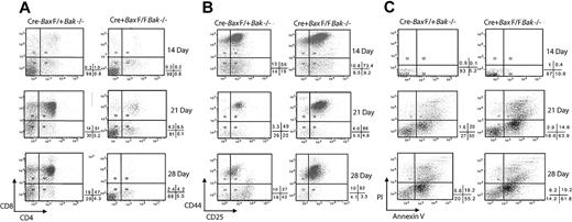 Figure 4. BaxBak doubly deficient T-cell progenitors fail to differentiate in an OP9-DL1 culture system. Mx-Cre+ BaxBak DKO and MxCre-Bax F/+ Bak−/− (control) mice were treated with Poly (I; C) to induce Cre expression. Hematopoietic progenitor cells were isolated from BM and induced to differentiate over a period of 4 weeks by culture on OP9-DL1cells in the presence of interleukin-7 and fms-like tyrosine kinase receptor-3. (A) Nonadherant hematopoietic cells were collected on 14, 21, and 28 days and CD4 and CD8 expression in thymocyte progenitors were analyzed by flow cytometry. (B) CD4-CD8-Mx-Cre+ BaxBak DKO and control cells were analyzed for CD25 and CD44 expression. (C) Hematopoietic progenitor cells collected from the OP9-DL1 cultures were stained with annexin V to identify and quantify apoptotic cells by flow cytometry. Percentages of annexin V and propidium iodide positive and negative quadrants are shown below each dot plot. Data are representative of 3 independent experiments.