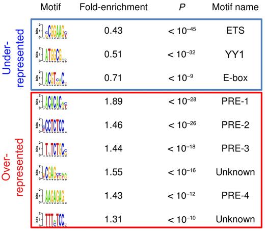 Figure 1. Putative DNA regulatory sequences enriched in and depleted from promoters bound by EZH2 binding in GC B cells. The first column shows the DNA motifs discovered by FIRE as underrepresented (top 3 motifs) and overrepresented (remaining motifs) in EZH2-bound promoters. The second column indicates the fold over/underrepresentation of each motif in EZH2-bound promoters versus nonbound promoters. The third column shows enrichment and depletion P values, calculated using the hypergeometric distribution. The last column shows motif names, when they could be identified using DNA motif databases such as TRANSFAC or JASPAR. PRE-like sequences were identified based on their similarity to Drosophila PREs.