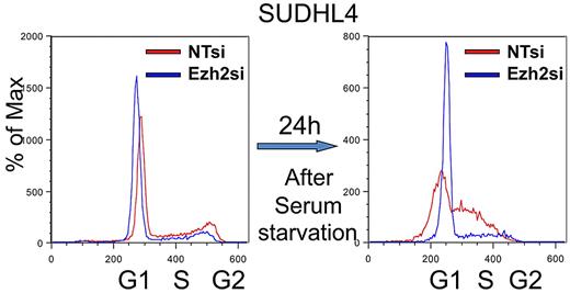 Figure 4. The impact of EZH2 on cell cycle in the SUDHL4 DLBCL cell line. siRNA-mediated EZH2 knockdown in SUDHL4 results in G1/S block and accumulation of cells in S phase. In this experiment, SUDHL4 cells were incubated for 24 hours in complete RPMI medium, followed by a 24-hour incubation in serum-free medium. Starved cells were released into complete medium, and cell cycle progression was measured in 24 hours. The extent of the S phase arrest was measured by FACS using propidium iodide staining. Cell cycle was monitored using FACS 24 hours in serum-starved SUDHL4 cells and 24 hours after reentry.