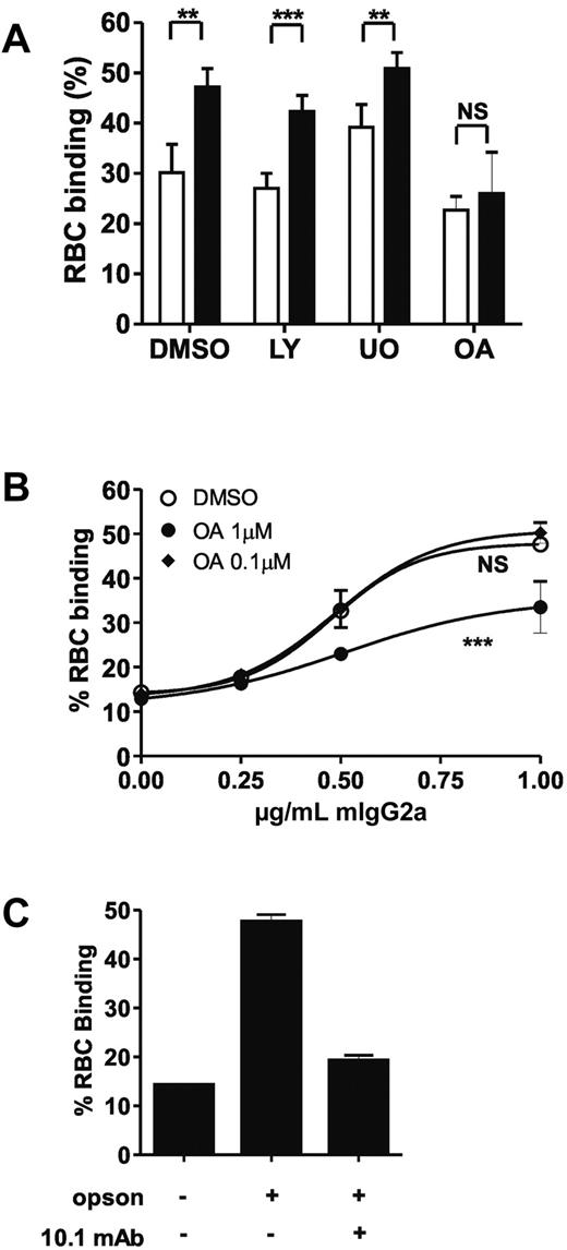Figure 4. OA inhibits cytokine-enhanced FcγRI IC binding on primary monocytes and Ba/F3- FcγRI cells. (A) Ba/F3-FcγRI cells were treated with DMSO, LY294002 (LY), U-0126 (U0) or OA and stimulated with IL-3. IC Binding was tested using mIgG2a-opsonized RBCs. Data represent means of at least 4 replicates. Similar results were obtained in 3 independent experiments. **P < .01; ***P < .01; NS: not significant. (B) IFNγ stimulated monocyte binding to mIgG2a-opsonized RBCs after OA treatment. ***P < .001, comparing 1μM OA treatment with DMSO fitted curve; NS: not significant, comparing 0.1μM OA treatment with DMSO treated fitted curve. (C) Effect of FcγRI blocking mAb 10.1 binding of mIgG2a-opsonized RBCs to FcγRI. Similar results were seen in 3 independent experiments.