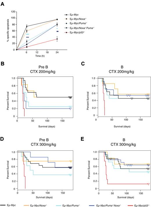 Figure 2. Loss of Puma and combined loss of Puma and Noxa promotes resistance to etoposide-induced apoptosis, but to a lesser extent than p53 deficiency. (A) Eμ-Myc cell lines of the indicated genotypes were treated with etoposide (0.2 μg/mL) for the indicated times in vitro, and cell death was assessed by flow cytometry. Apoptosis of Eμ-Myc/Puma−/− cells was significantly lower than for control Eμ-Myc cells at 6 and 24 hours (P < .0001 and P < .05, respectively). Similar protection was observed for Eμ-Myc/Noxa−/−Puma−/− cells (P < .0001 and P < .001). ***P < .0001; **P < .001; *P < .05. Data represent mean ± SEM from 3-7 independent Eμ-Myc cell lines for each genotype, with each cell line analyzed in at least 3 independent experiments. (B-E) Response of primary Eμ-Myc lymphomas to CTX treatment in vivo: Kaplan-Meier survival curves of mice transplanted (day 0) with Eμ-Myc lymphomas and treated, once lymphomas became palpable, from around d12. Pre-B-cell (B) or B-cell (C) Eμ-Myc lymphomas of the relevant genotypes, including those lacking Noxa and/or Puma or p53, were treated with 200 mg/kg CTX. (D-E) Same as for (B-C), but treated with 300 mg/kg CTX. Data were pooled from 3-13 independent lymphomas (supplemental Table 1) of each of 7 genotypes and 2 immunophenotypes (total 276 independently derived lymphomas); 2-14 recipient mice per treatment per independent lymphoma.
