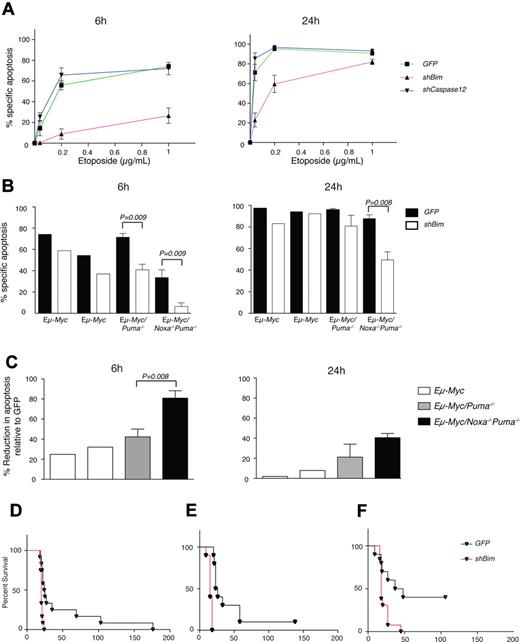Figure 4. Loss of Bim increases resistance of Eμ-Myc lymphomas lacking both Puma and Noxa to DNA-damaging drugs both in vitro and in vivo. (A) Eμ-Myc/Noxa−/−Puma−/− cell lines, transduced with either shBim-GFP, GFP, or shCaspase-12-GFP retroviral vectors, were treated with etoposide (0.04, 0.2, or 1 μg/mL). Percent of drug-specific apoptosis in cells transduced with the shBim-GFP vector, compared with control vectors, at 6 (left-hand panel) and 24 hours (right-hand panel). Mean ± SEM from 3 independent experiments; representative of 5 Eμ-Myc/Noxa−/−Puma−/− cell lines analyzed. (B) Percent specific apoptosis for Eμ-myc (shown for 2 independently generated lymphomas), Eμ-myc/Puma−/− (derived from n = 4 independently generated lymphomas) and Eμ-myc/Noxa−/−Puma−/− (derived from n = 5 independently generated lymphomas) cell lines retrovirally transduced with a shBim-GFP vector (black bars) or a control-GFP vector (white bars) and treated with etoposide (0.2 μg/mL) for 6 (left-hand panel) or 24 hours (right-hand panel). Mean ± SEM from 4-5 independent cell lines per genotype (for Eμ-myc/Puma−/−, Eμ-myc/Noxa−/−Puma−/−), with each cell line analyzed in at least 3 independent experiments. (C) Data from (B) represented as the percent reduction in apoptosis after 6 hours (left panel) or 24 hours (right panel) of etoposide treatment of lymphoma cell lines transduced with a shBim-GFP vector, compared with that observed for control-GFP vector. Mean ± SEM from 4-5 independent cell lines per genotype (for Eμ-myc/Puma−/−, Eμ-myc/Noxa−/−Puma−/−), with each cell line analyzed in at least 3 independent experiments. (D-F) Primary Eμ-Myc/Noxa−/−Puma−/− lymphomas transduced with shBim-GFP or GFP retroviral vectors were injected into recipient Rag-1−/− mice (see supplemental Figure 6C). When spleens were palpable, mice were treated with CTX (250 mg/kg), monitored, and culled if unwell. Kaplan-Meier curves for 2 independent lymphomas: (D) shBim-GFP vs. GFP-control vector: median survival = 25 days, 20 days respectively, n = 13 mice; P = .0007; (E) shBim-GFP vs. GFP-control vector: median survival 15 and 24.5 days, respectively, n = 10 mice; P < .0001); and (F) shBim-GFP vs. GFP-control vector: median survival = 18 days and 42.5 days, respectively, n = 10 mice, P = .0042.