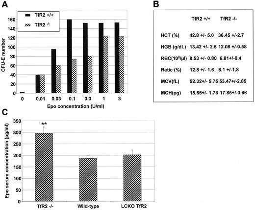 Figure 5. Erythropoiesis in TfR2−/− mice. (A) CFU-E assay of TfR2−/− and wild-type mice. Bone marrow cells (2 × 105) from the femurs and tibias of 2 TfR2−/− and 2 wild-type mice at 4 weeks of age were cultured in methylcellulose medium dedicated to CFU-E growth (Methocult M3234, StemCell Technologies) supplemented by the indicated Epo concentrations. Colonies were scored after 48 hours of culture. The results are representative of 2 independent experiments performed in duplicate. (B) Hematological values from TfR2−/− and wild-type littermates at 4 weeks of age. HCT, hematocrit; HGB, hemoglobin; RBC, red blood cells; Retic, reticulocytes; MCV, mean cell volume; MCH, mean cell hemoglobin. (n = 6 for both TfR2−/− mice and wild-type mice; values are the mean ± SD). (C) Epo concentrations in the serum of TfR2−/− (n = 4), sibling pairs of wild-type (n = 3) and liver-targeted deletion of TfR2 (TfR2 LCKO, n = 4) mice were determined by sandwich ELISA (R&D Systems). Student t test: P < .01 between TfR2−/− and wild-type mice and between TfR2−/− and LCKO mice, P > .15 (NS) between wild-type and LCKO mice.