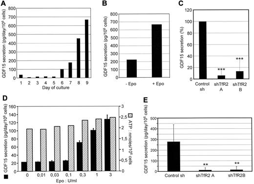Figure 6. GDF15 expression in erythroblasts requires TfR2, GDF15 production levels were measured in the supernatants of cultured cells. The data shown corresponds to the production of GDF-15 over 24 hours for 106 cells. (A) Determination of GDF15 levels secreted by erythroid progenitors on each day of the cell culture after CD36+ cell sorting. The results of 1 representative experiment from 3 independent cultures are shown. (B) Cells at day 9 of differentiation were incubated for 24 hours in the absence of Epo. The culture medium was then recovered and GDF15 concentration was determined by ELISA. (C) Determination of GDF15 secretion in control cells (Control Sh) and TfR2 knockdown cells (expressing shRNAs A or B). The data shown are the means ± SD determined on day 9 of 2 independent erythroid primary cultures (CD36+ cells). (D) Relationship between Epo concentrations in the culture medium and GDF15 production in UT7 cells. Cells were incubated for 24 hours with the indicated concentrations of Epo. After that time, GDF15 production was determined using the cell culture supernatants and intracellular ATP content of the cells was determined as described in “Methods.” (E) Determination of GDF15 secretion in UT7 control cells and in TfR2 knockdown cells expressing shRNAs A and B. Cells were cultured in the presence of 2 U/mL Epo. The data shown are the means ± SD from 4 independent experiments. **P < .01 relative to control.
