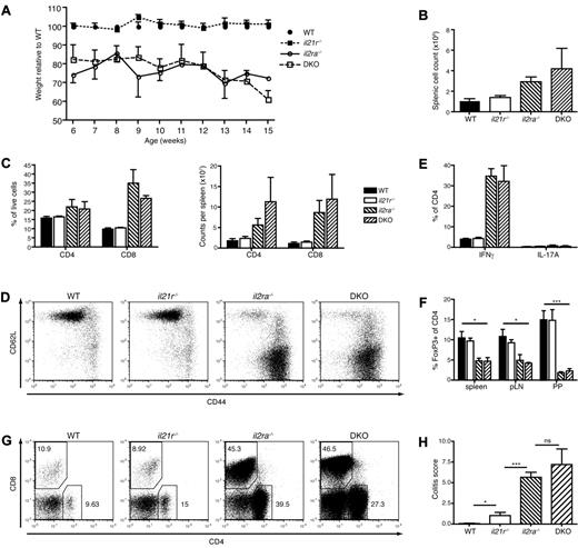 Figure 1. Il2ra/il21r DKO mice show reduction of Tregs, T-cell hyperactivation, and weight loss and develop colitis similar to il2ra−/− mice. (A) Body weight of il2ra−/− (n = 4-11), il21r−/− (n = 11), DKO (n = 4-10), and WT (n = 5) mice at indicated times. Values indicate percentages of WT. Normalization was done separately for males and females before pooling the data of a group. (B-F) Analysis of the spleen of 5- to 7-week-old mice. Shown is total number of splenocytes after erythrocyte lysis (B), percentages (left panel) and absolute numbers (right panel) of splenic CD4 and CD8 T cells (C), surface expression of CD44 and CD62L on CD4+ T cells (D), frequency of CD4+ T cells producing IFNγ or IL-17 after 4-hour stimulation with PMA and ionomycin (E), and percentages of FoxP3+ CD4+ regulatory T cells (F). (G) FACS analysis of lamina propria cells of the colon isolated from 7- to 9-week-old mice as described in “Cell preparation.” Cells were stained with CD4- and CD8-specific antibodies. Shown are dot plots of individual mice representative for the group. (B,C,E,F) Values indicate averages ± SEM of 4-5 mice per group. Data shown are representative of 3 separate experiments. (H) Histopathological scoring of colons of 7- to 10-week old mice (n = 5-8/group) as described in “Histopathology of intestines.” Scores between 0 and 4 indicate no or mild colitis; scores between 5 and 9 indicate moderate colitis; and scores between 10 and 15 indicate severe colitis.