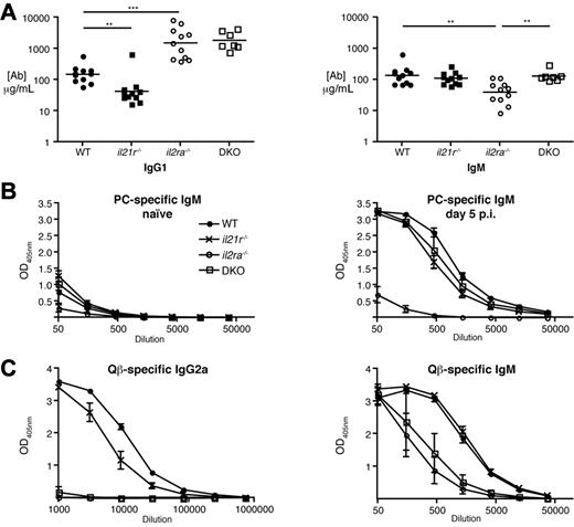 Figure 3. Absence of MZ B-cell antibody response il2ra−/− mice is restored in DKO mice. (A) Concentration of IgG1 and IgM in the serum of naive mice. Symbols represent individual mice. (B) Mice (n = 4/group) were immunized intravenously with 108 colony forming units of heat-inactivated S pneumoniae. Blood was collected before and 5 days after immunization. Serum IgM antibody titers specific for phosphorylcholine were determined by ELISA. (C) Mice (n = 4/group) were immunized intravenously with Qβ-VLP and bled at day 14 for measurement of antibody responses. Qβ-specific IgM and IgG2a antibody titers were measured by ELISA. OD405nm values show averages ± SEM of groups at indicated serum dilutions.