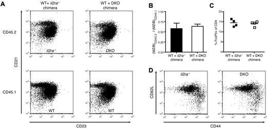 Figure 4. IL-2Rα is not essential for MZ B-cell development in a noninflamed environment. Mixed bone marrow chimeras were generated by reconstitution of irradiated WT C57BL/6 mice (CD45.1) with a 1:1 mixture of bone marrow cells of WT (CD45.1) and il2ra−/− (CD45.2) or WT (CD45.1) and DKO (CD45.2) mice. Two months later, the spleen was removed, and the isolated cells were analyzed by flow cytometry. (A) Cells were stained with anti-CD21, anti-CD23, anti-CD19, and anti-CD45.2 or CD45.1 monoclonal antibodies. Representative dot plots of individual samples show CD21 and CD23 expression gated on CD19+ CD45.2+ B cells (top panel) or CD19+ CD45.1+ B cells (bottom panel). (B) Shown is ratio of knockout (CD45.2) versus WT (CD45.1) CD21+CD23− MZ B cells among CD19+ cells. Values indicate averages ± SEM of 4 mice per group. (C) Percentages of FoxP3+ regulatory T cells among CD4+ cells. Symbols indicate individual mice. Notably, more than 90% of the Tregs in the chimera were derived from CD45.1 WT bone marrow (data not shown). (D) CD44 and CD62L expression on cells gated on CD4+ and CD45.2+. Shown are dot plots of individual samples representative of a group of mice.