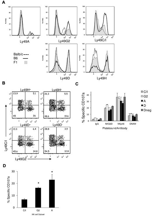 Figure 1. Function of CB6F1 NK cells subsets defined by Ly49. (A) NK cells from peripheral blood of 8-week-old BALB/c, B6, or CB6F1 mice were stained for their Ly49 repertoire. (B) F1 NK cells gated on Ly49A− cells. (C) Enriched splenic NK cells from F1 mice were stimulated with plate-bound antibodies in the presence of anti-CD107a. Bar graph demonstrates mean and SD of triplicate wells. (D) F1 NK cells were incubated with equal numbers of β2−/− lymphoblast blasts in the presence of anti-CD107a. *P < .005 for Ly49A or Ly49G2 versus Ly49C/I subset, no significant difference between Ly49G2 and Ly49A subsets. Data shown are representative of 2 independent experiments.