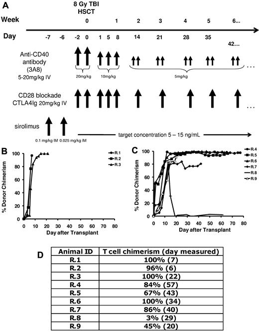 Figure 1. High-level chimerism after rhesus HSCT. (A) Rhesus macaque HSCT strategy. Each component of CoBS immunosuppression (anti-CD40 monoclonal antibody, CTLA4Ig, sirolimus) is shown, along with the total body irradiation (TBI)–based conditioning regimen. Control animals received only TBI-based conditioning but no posttransplantation immunosuppression. (B) Whole-blood chimerism in recipients who did not receive posttransplantation immunosuppression (R.1-R.3). (C) Whole-blood chimerism in recipients who received CoBS (R.4-9). (D) T-cell chimerism in the transplant recipients.